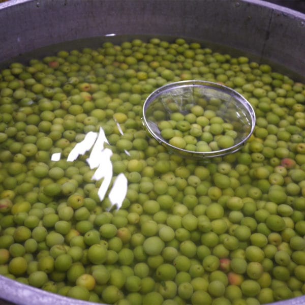 Plums in tank